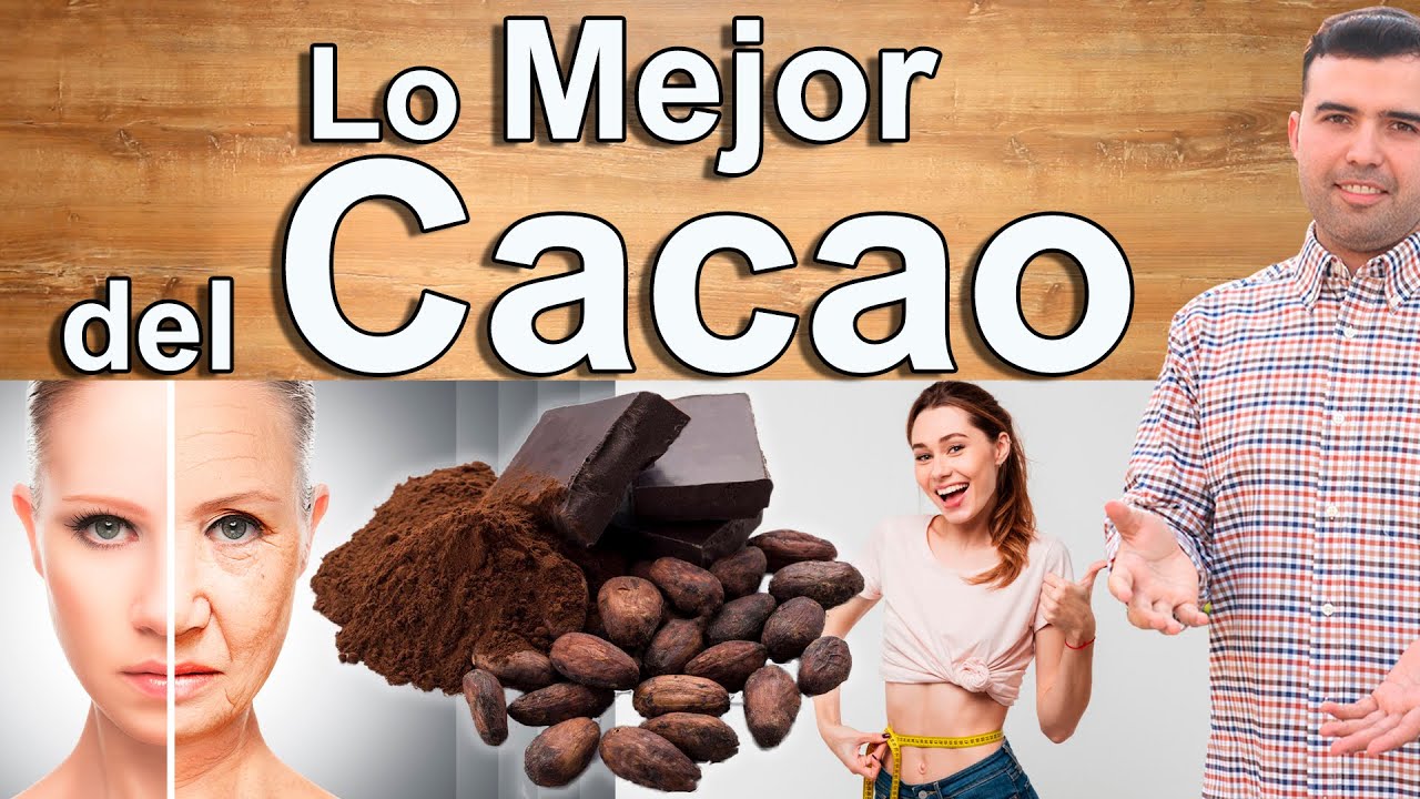 el cacao es fruta