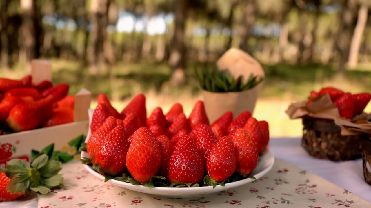 nocilla de fresa carrefour