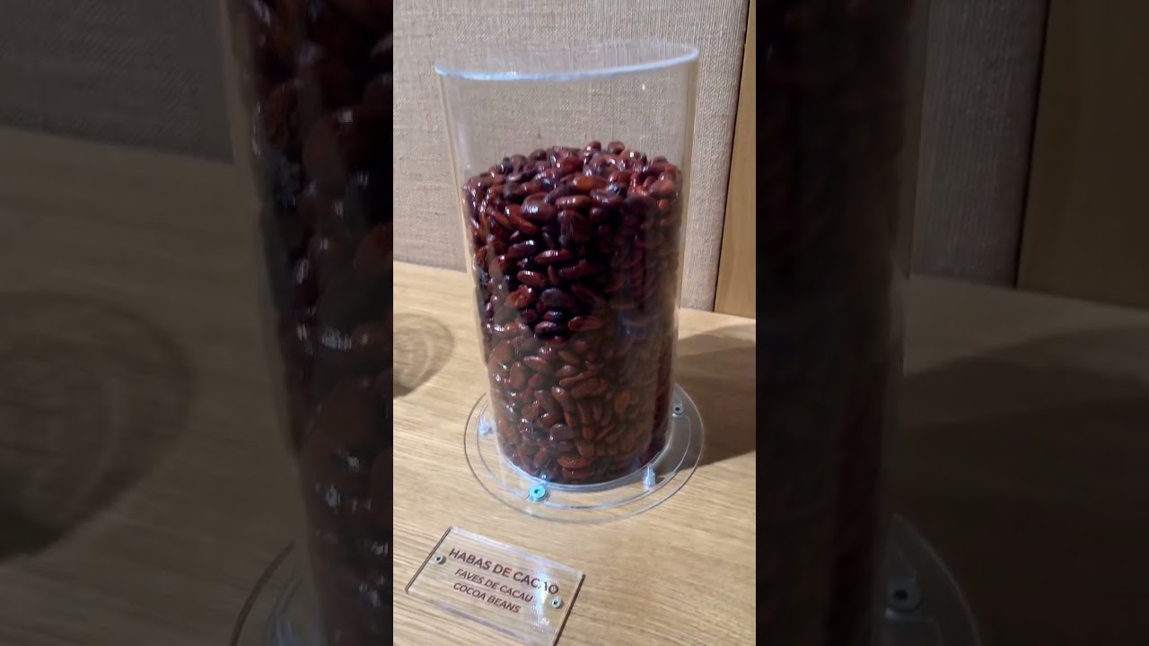 opiniones de museo del chocolate valor